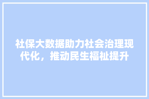 社保大数据助力社会治理现代化，推动民生福祉提升  第1张