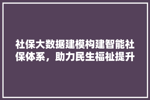 社保大数据建模构建智能社保体系，助力民生福祉提升  第1张