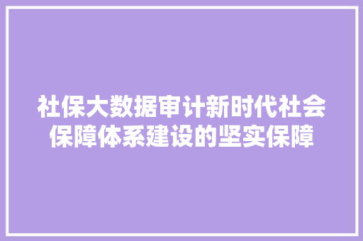 社保大数据审计新时代社会保障体系建设的坚实保障  第1张