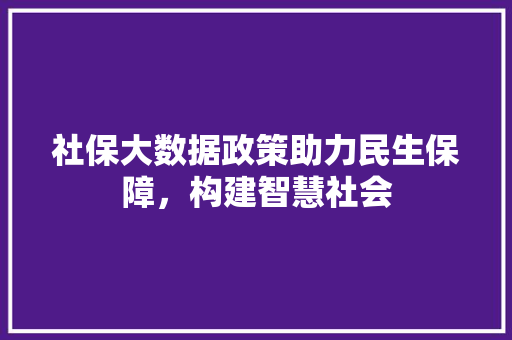 社保大数据政策助力民生保障，构建智慧社会  第1张