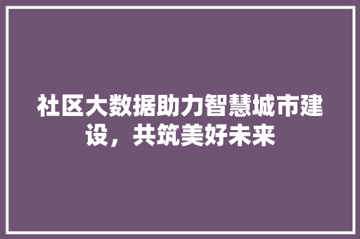 社区大数据助力智慧城市建设，共筑美好未来  第1张