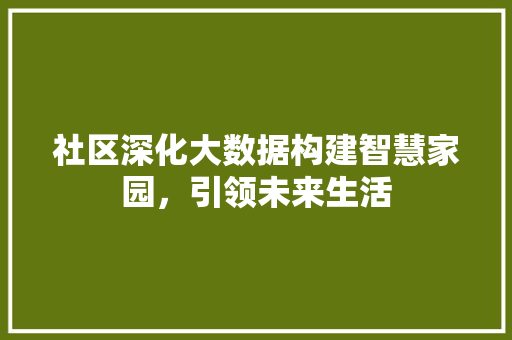 社区深化大数据构建智慧家园，引领未来生活  第1张