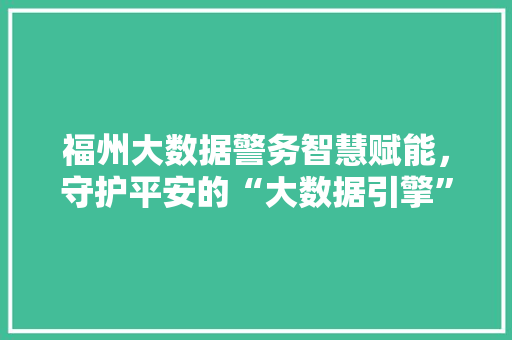福州大数据警务智慧赋能，守护平安的“大数据引擎”  第1张