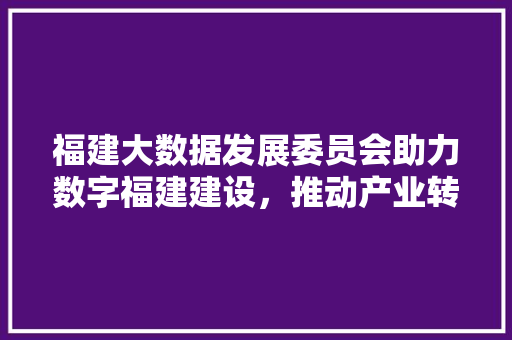 福建大数据发展委员会助力数字福建建设，推动产业转型升级  第1张