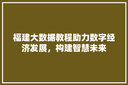 福建大数据教程助力数字经济发展，构建智慧未来  第1张
