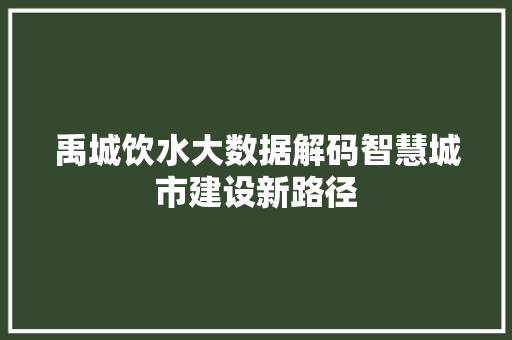 禹城饮水大数据解码智慧城市建设新路径  第1张
