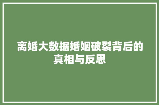 离婚大数据婚姻破裂背后的真相与反思  第1张