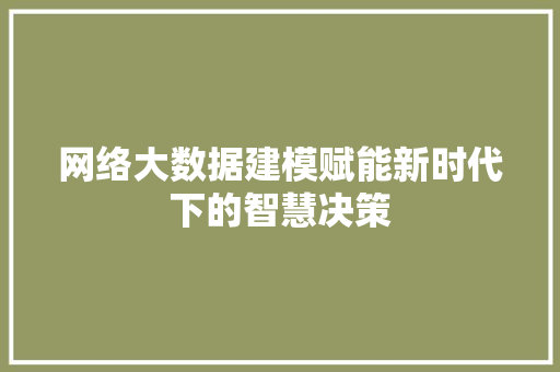 网络大数据建模赋能新时代下的智慧决策