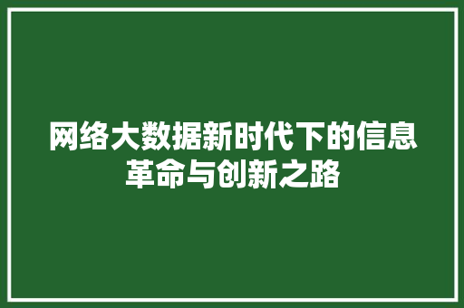 网络大数据新时代下的信息革命与创新之路  第1张