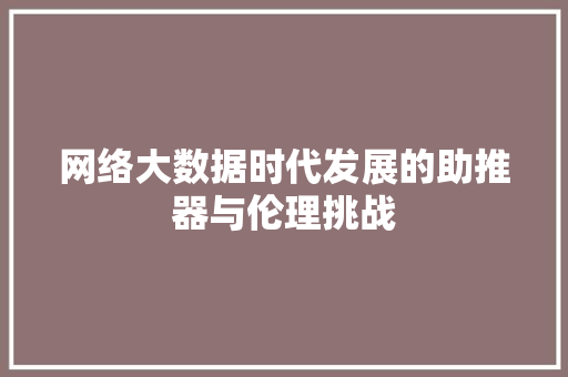 网络大数据时代发展的助推器与伦理挑战  第1张