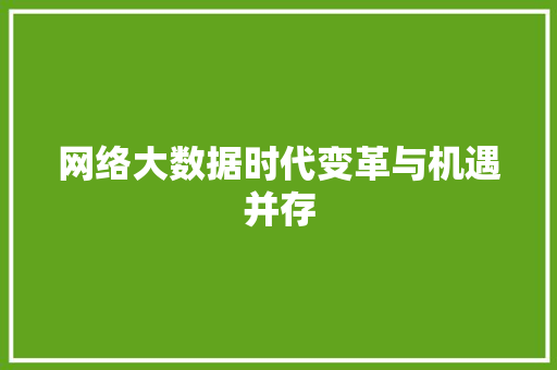 网络大数据时代变革与机遇并存  第1张