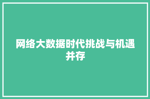网络大数据时代挑战与机遇并存  第1张