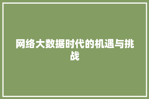 网络大数据时代的机遇与挑战  第1张