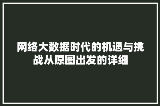 网络大数据时代的机遇与挑战从原图出发的详细