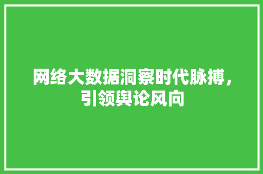 网络大数据洞察时代脉搏，引领舆论风向