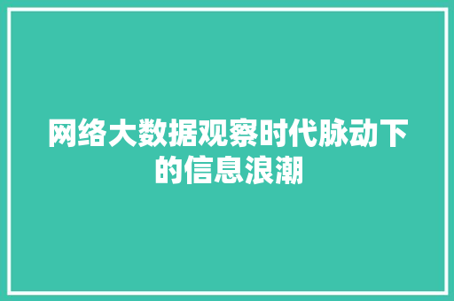 网络大数据观察时代脉动下的信息浪潮  第1张