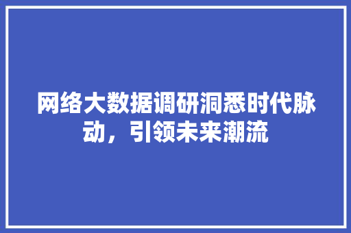 网络大数据调研洞悉时代脉动，引领未来潮流