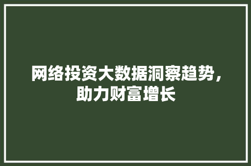 网络投资大数据洞察趋势，助力财富增长  第1张