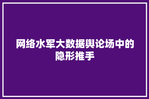 网络水军大数据舆论场中的隐形推手  第1张