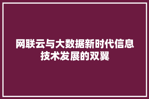 网联云与大数据新时代信息技术发展的双翼