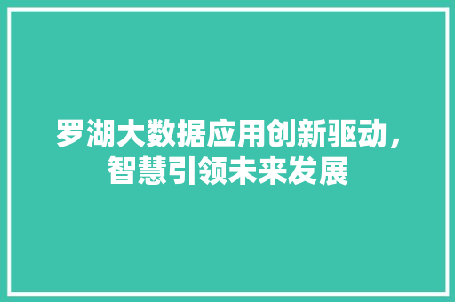 罗湖大数据应用创新驱动，智慧引领未来发展