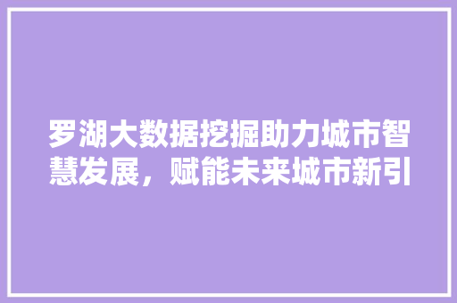 罗湖大数据挖掘助力城市智慧发展，赋能未来城市新引擎