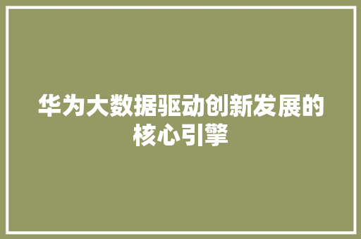 华为大数据驱动创新发展的核心引擎  第1张
