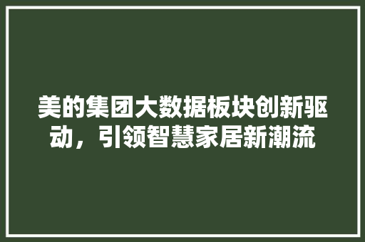 美的集团大数据板块创新驱动，引领智慧家居新潮流