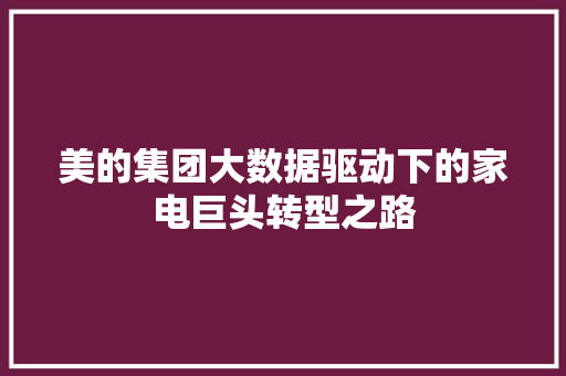 美的集团大数据驱动下的家电巨头转型之路