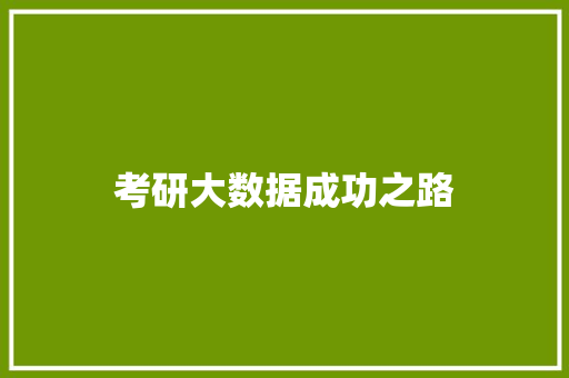 考研大数据成功之路