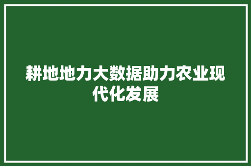 耕地地力大数据助力农业现代化发展