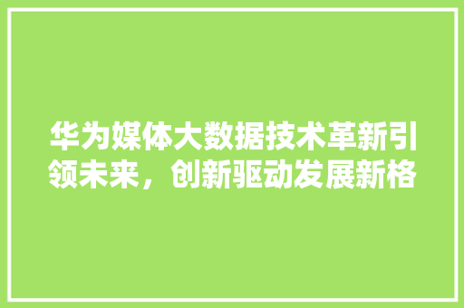 华为媒体大数据技术革新引领未来，创新驱动发展新格局  第1张
