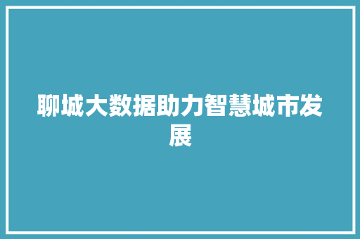 聊城大数据助力智慧城市发展  第1张