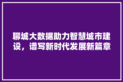 聊城大数据助力智慧城市建设，谱写新时代发展新篇章  第1张