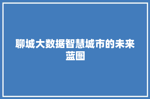 聊城大数据智慧城市的未来蓝图  第1张