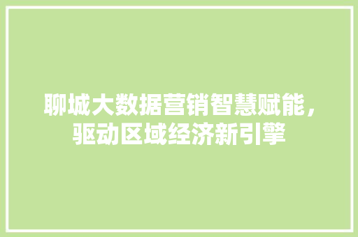 聊城大数据营销智慧赋能，驱动区域经济新引擎  第1张