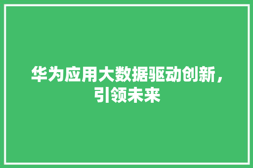 华为应用大数据驱动创新，引领未来  第1张