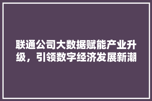 联通公司大数据赋能产业升级，引领数字经济发展新潮流