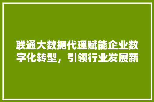 联通大数据代理赋能企业数字化转型，引领行业发展新篇章  第1张