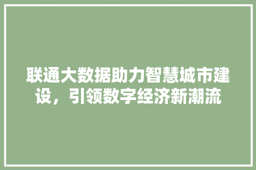 联通大数据助力智慧城市建设，引领数字经济新潮流  第1张