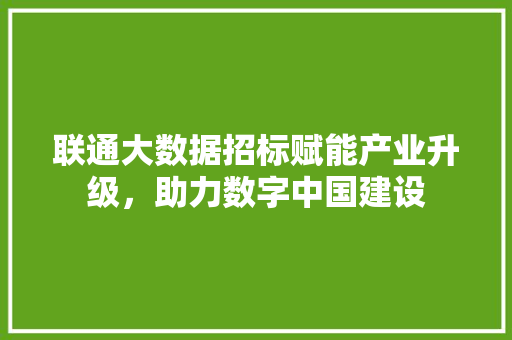 联通大数据招标赋能产业升级，助力数字中国建设