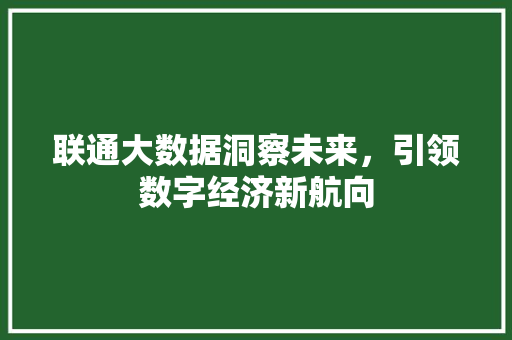 联通大数据洞察未来，引领数字经济新航向  第1张