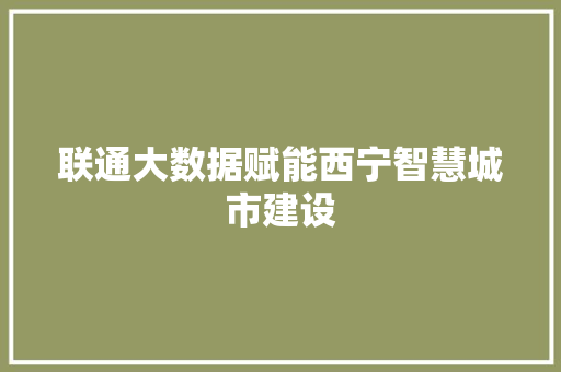 联通大数据赋能西宁智慧城市建设  第1张