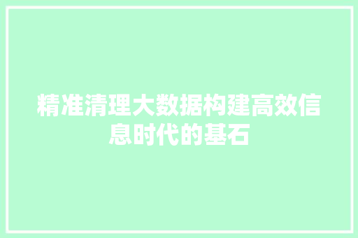 精准清理大数据构建高效信息时代的基石  第1张