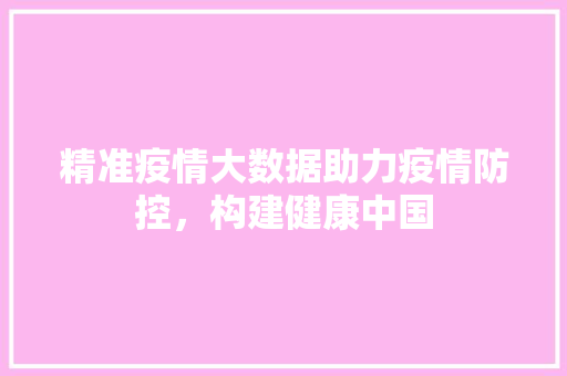 精准疫情大数据助力疫情防控，构建健康中国  第1张