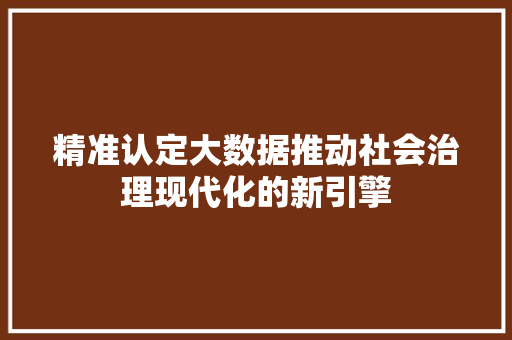 精准认定大数据推动社会治理现代化的新引擎  第1张