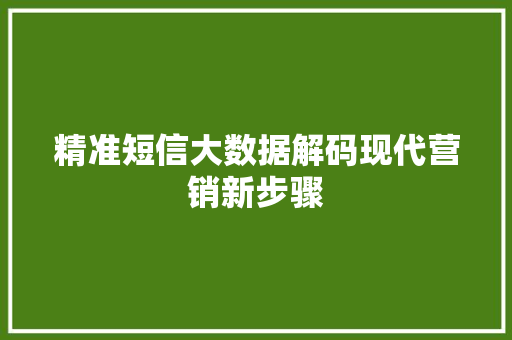 精准短信大数据解码现代营销新步骤  第1张