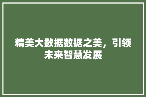 精美大数据数据之美，引领未来智慧发展  第1张