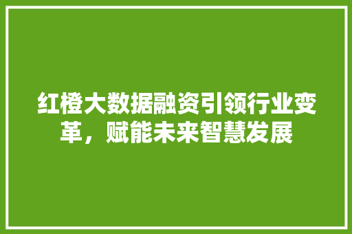 红橙大数据融资引领行业变革，赋能未来智慧发展