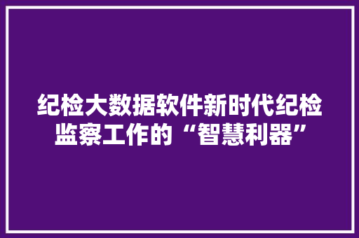 纪检大数据软件新时代纪检监察工作的“智慧利器”